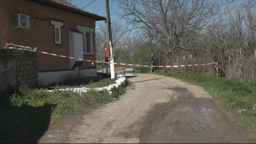 pack dogs killed woman town dolna oryahovitsa update