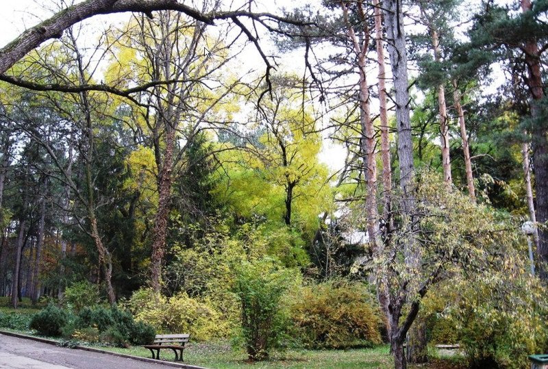 Градската градина на Попово