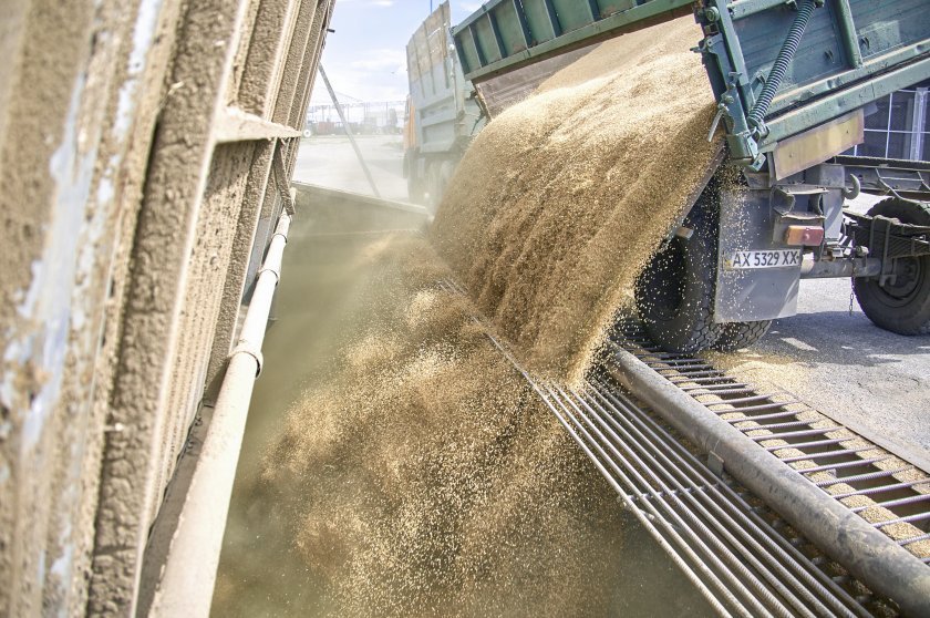 Ще протестират ли зърнопроизводителите заради прекомерния внос от Украйна?