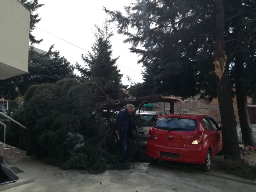 Изкоренени дървета и смачкани автомобили, спрени са влаковете между Пловдив и Филипово заради силния вятър