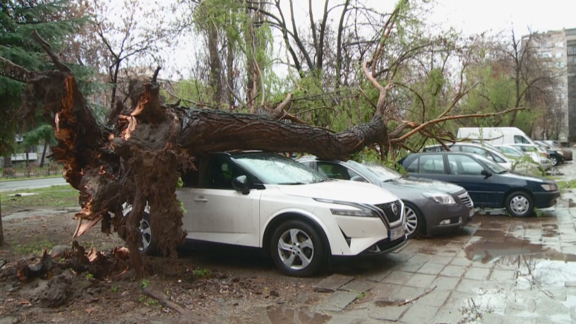 man seriously injured falling tree amid powerful winds plovdiv