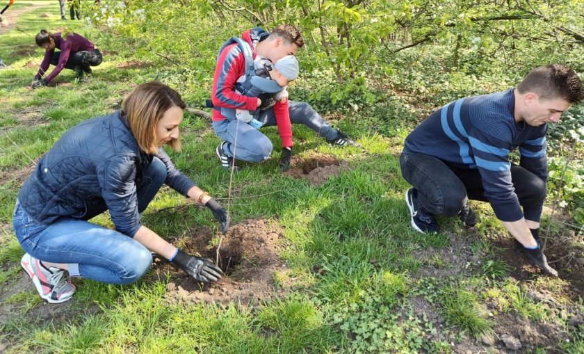 БНТ засади нова гора в Ловния парк в София