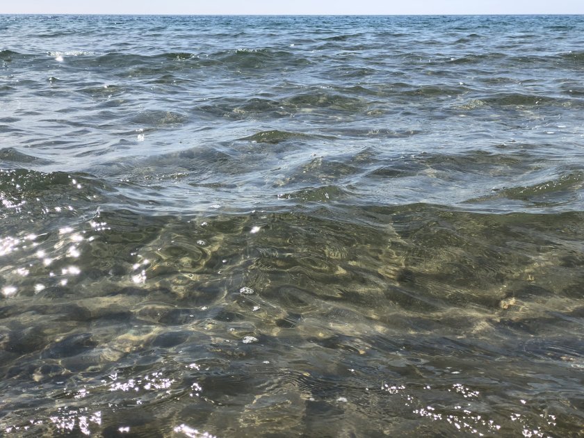 За чистотата на морската вода и мерките за запазване на защитените зони по Черноморието