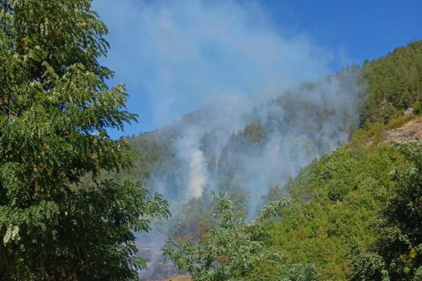 Fire rages in a mixed forest near the village of Varbina, Southern Bulgaria