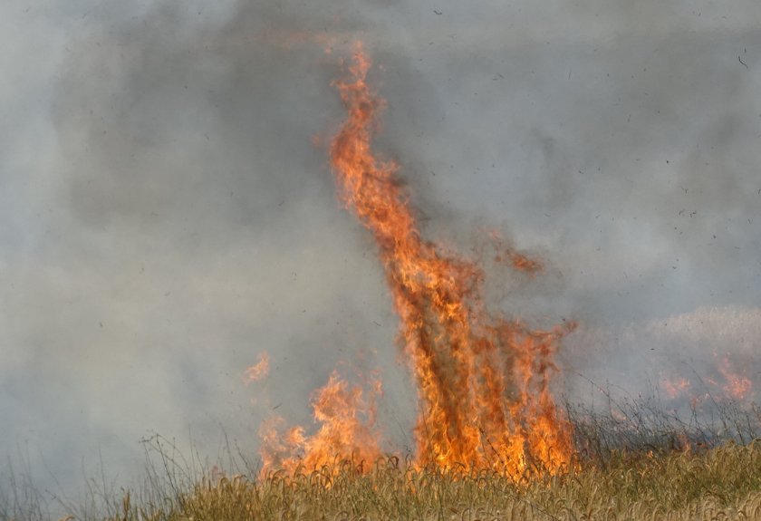 State of emergency in Haskovo due to wild fires