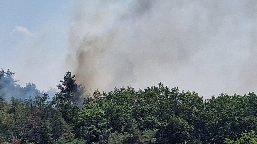 fire burning tulbeto park kazanlak