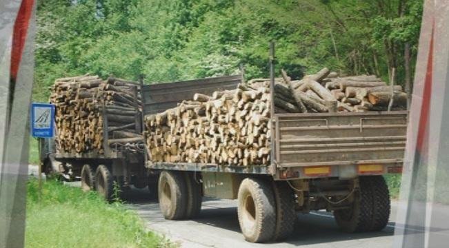 Дървопреработватели настояват за проходими планински пътища