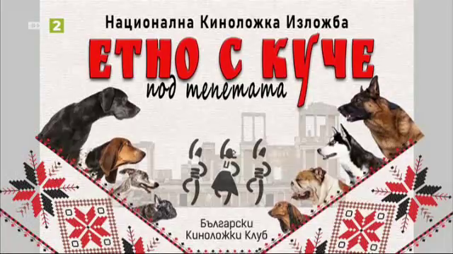 Есенните киноложки празници “Етно с куче” в Пловдив