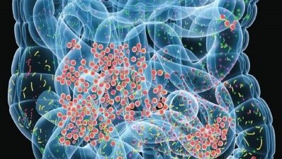 Какво представлява човешкият микробиом?