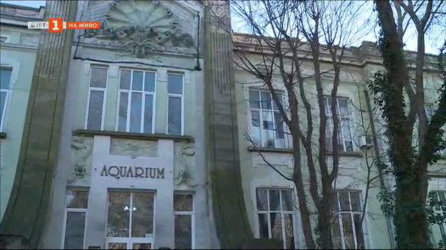 Защо Аквариумът във Варна, който е паметник на културата, тъне в разруха