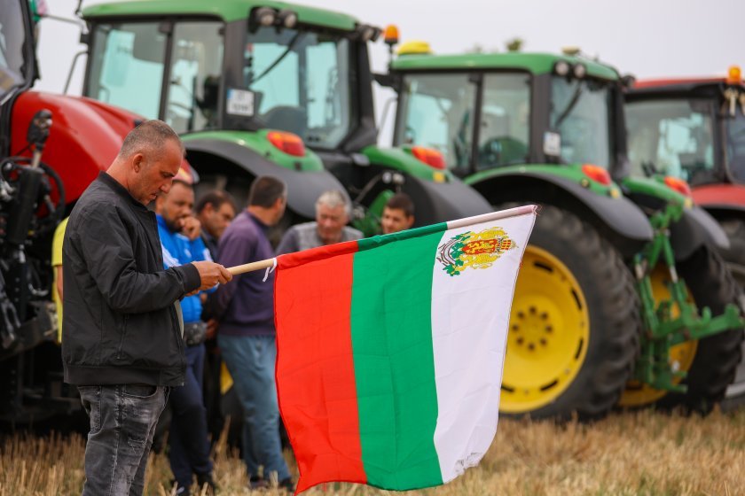 Земеделски производители излизат на протест – защо държавата и браншът не се разбраха?