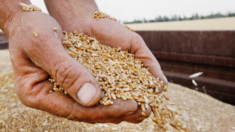 Какви са възможните решения на проблемите на зърнопроизводителите?