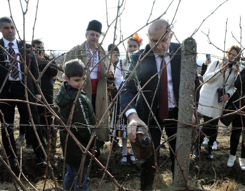 President Radev participates in vineyard pruning ritual on Wine and Vine Day