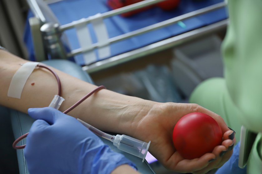 Дари кръв - дари живот: Пътят на дарената кръв