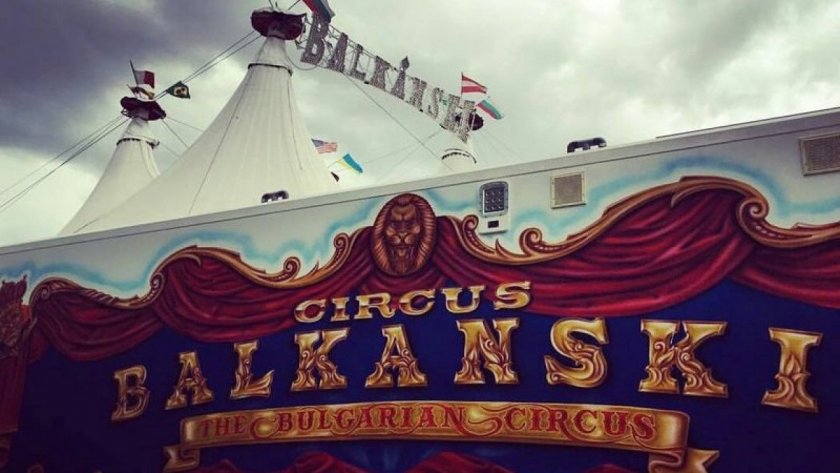 Магията под купола на цирк "Балкански"