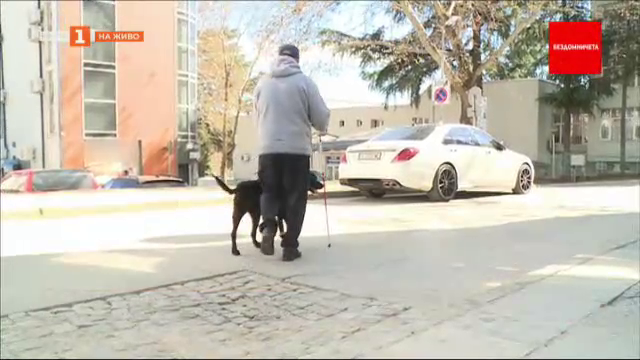 Кауза "Бездомничета": Как едно куче успява да върне надеждата за живот на мъж, който губи зрението си