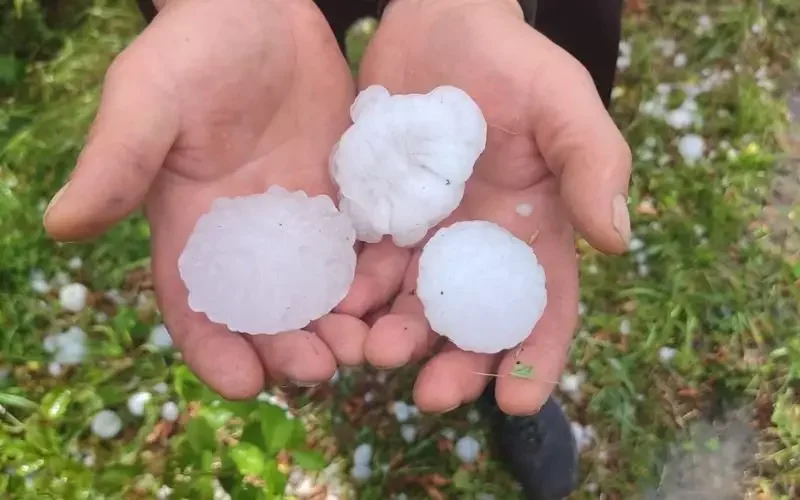 Storm drops egg-sized hail in Sevlievo (photos)