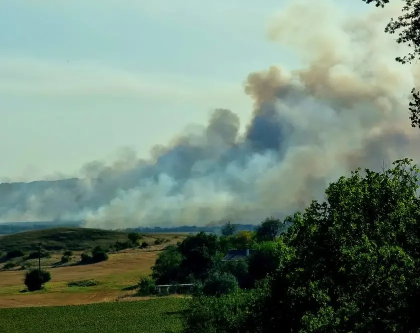 Section of ‘Hemus” motorway closed again due to wild fire flare-up in Varna