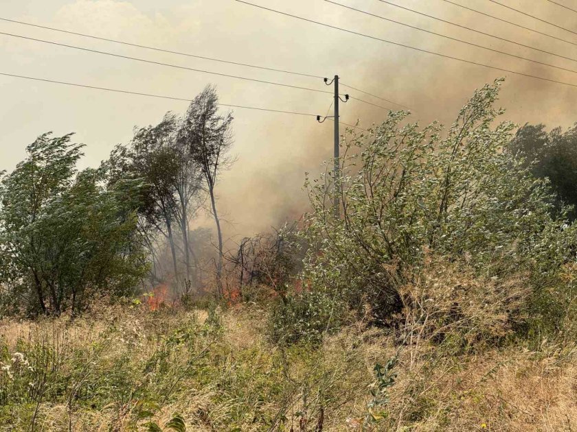 Къде продължават пожарите в страната и има ли опасност за населените места