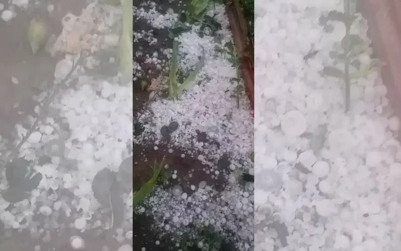 Hailstorm poured over two municipalities in Burgas district