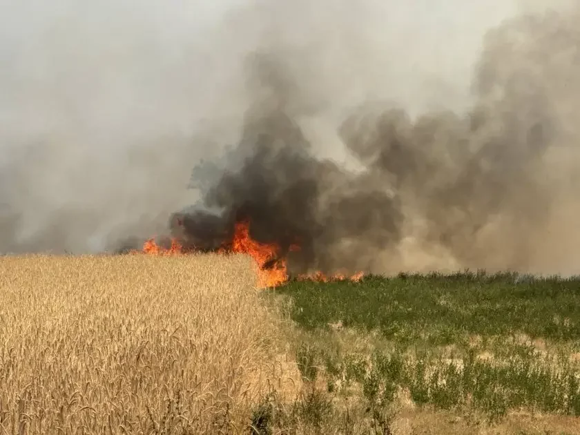 Massive wildfire raging across the region of Karlovo (video, photos)