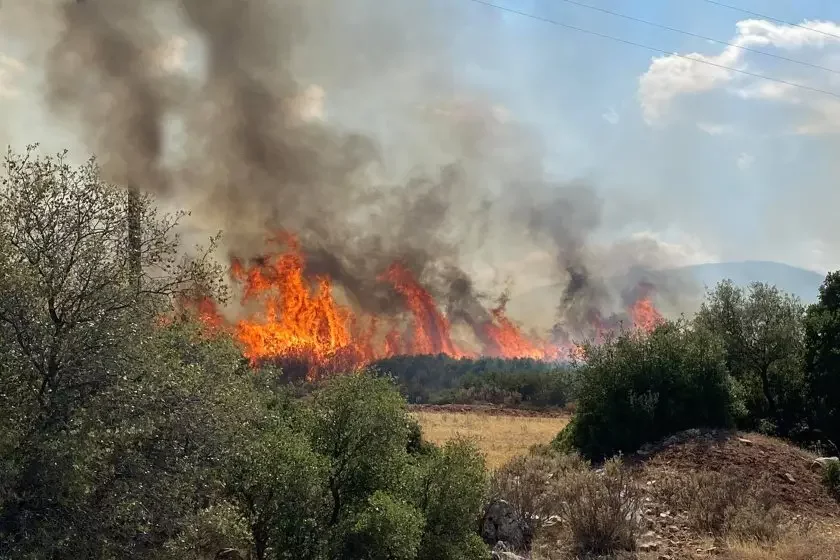 A large forest fire broke out near the border between Bulgaria and Turkey
