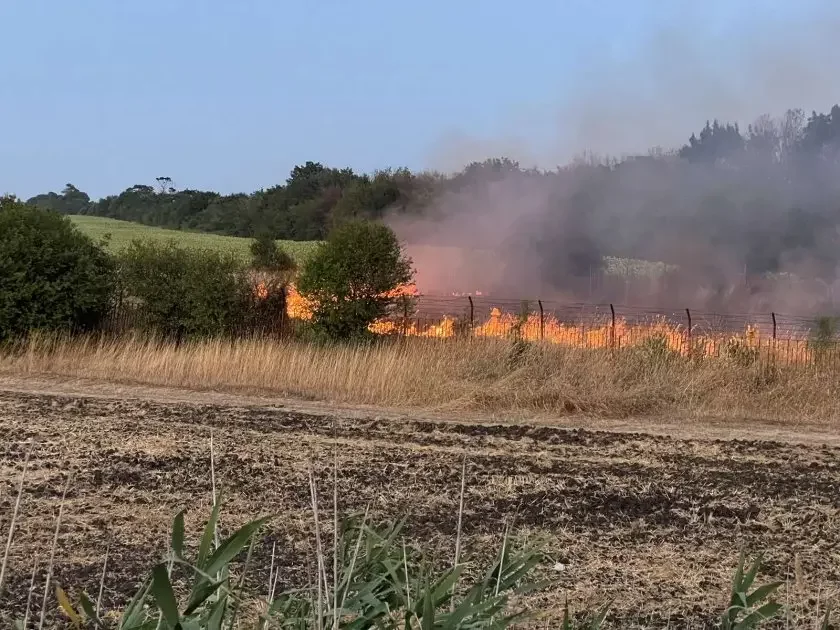 The fire burning near Burgas airport was brought under control (update)