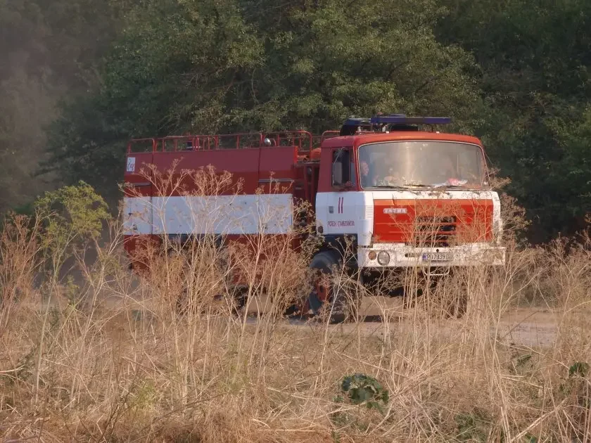 Wildfire broke out in coniferous forest near Strelcha