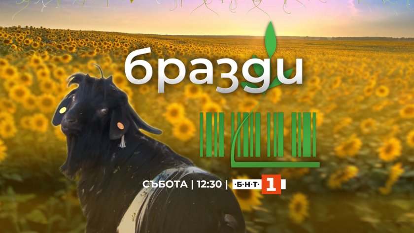 „Бразди“ се завръща в ефира на БНТ с по-дълъг формат и още изненади