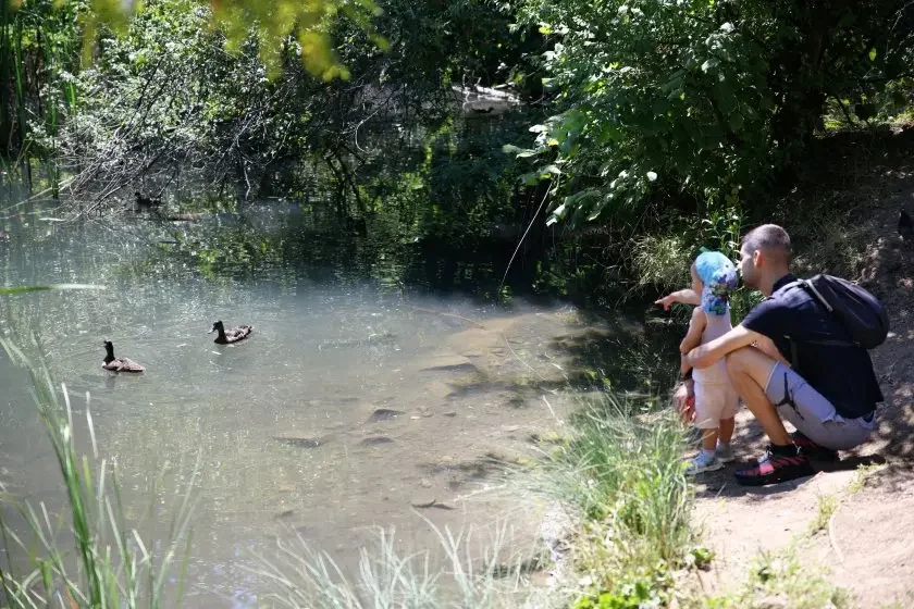 Record-breaking heat in Northern Bulgaria, in places the mercury hit over 40 degrees Celsius in the shade