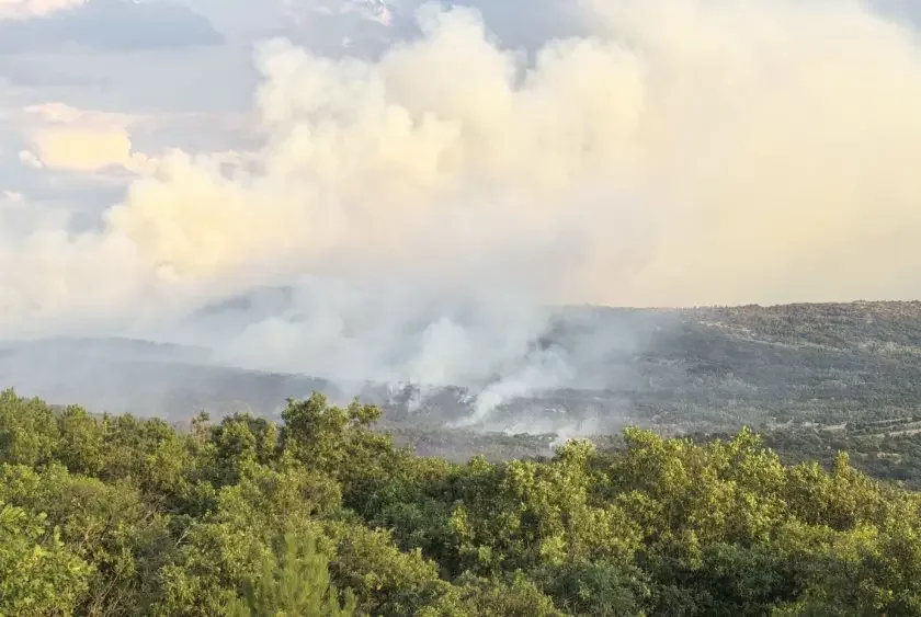 Fire breaks out again in Sakar Mountain, state of emergency declared in Harmanli and Topolovgrad