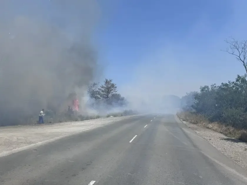 Bourgas - Sredets road temporarily closed due to wildfire (photos)