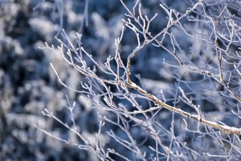 First snow of the year falls on Vitosha and Rila mountains (see pics)