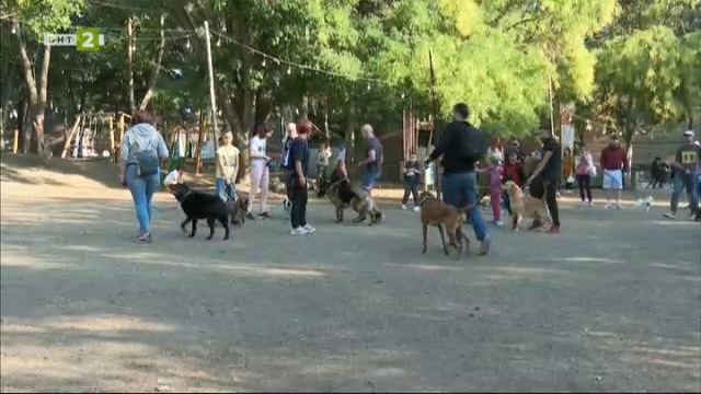 Кучешки празник в парка – „Dog Fest 8“