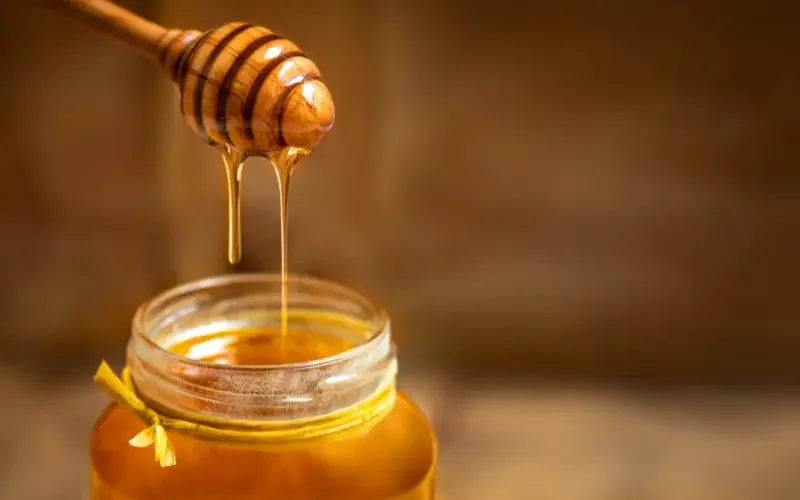 Bulgaria to ask EC for protective measures against honey imports from Ukraine