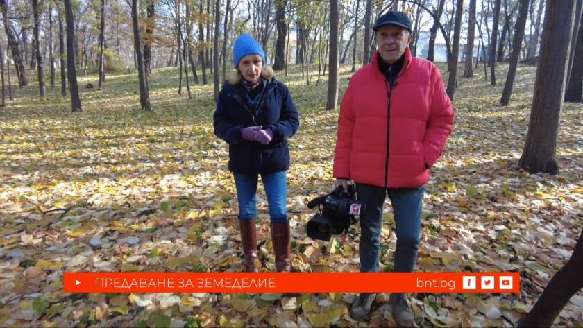 Млади българи напускат офисите и влизат в оранжериите - 23.11.2024