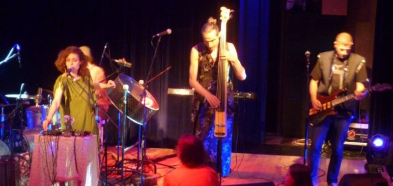 Концерт на група "Насекомикс"