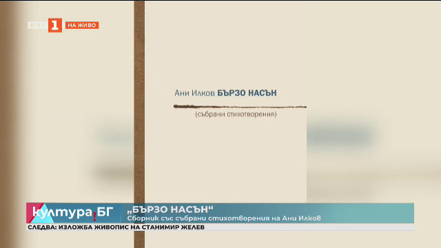 „Бързо насън“ - сборник със събрани стихотворения на Ани Илков