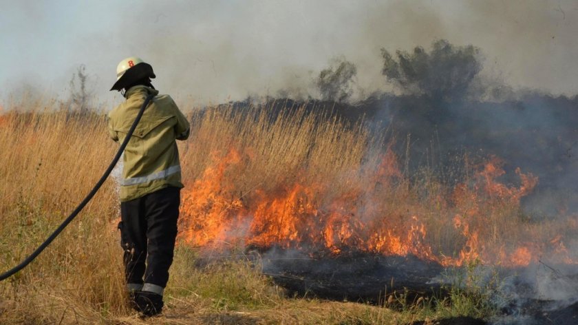 Защо гори гората