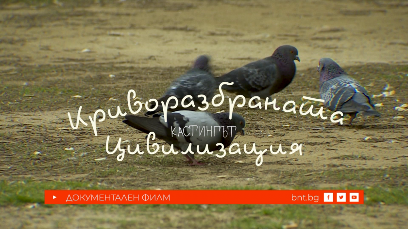 Криворазбраната цивилизация - Кастингът