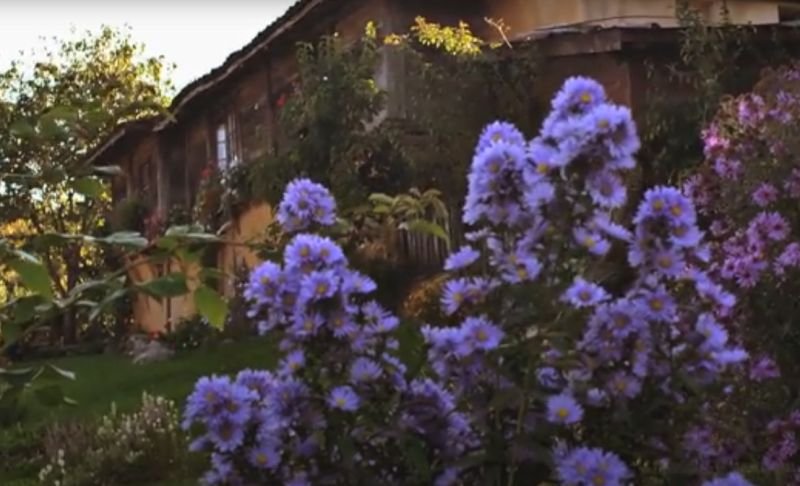 Това е България: "Жарава от спомени"