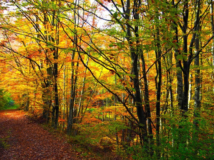 Предимно слънчево, с максимални температури между 18° и 23°