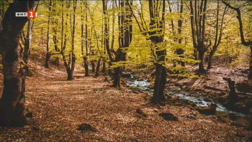 Максимални температури между 17° и 23° днес