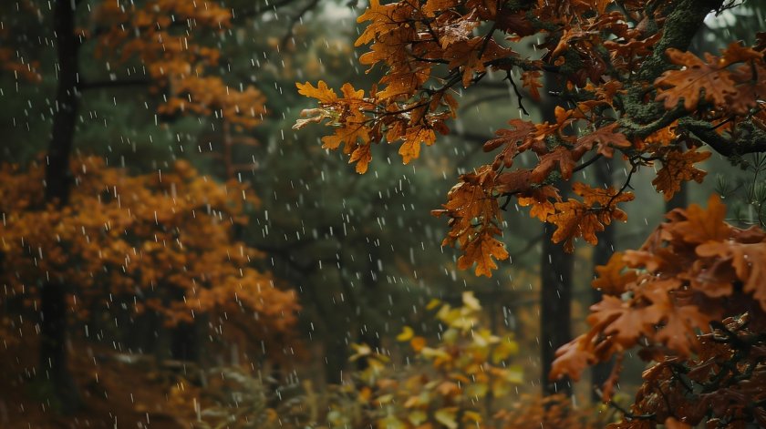 Седмицата започва с облачно и дъждовно време