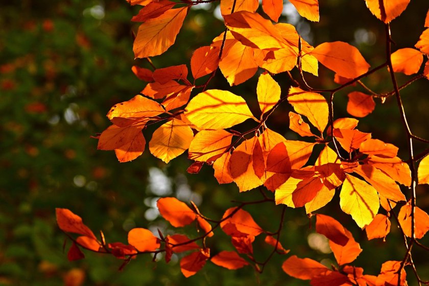 Следобед слънчево в по-голямата част от страната