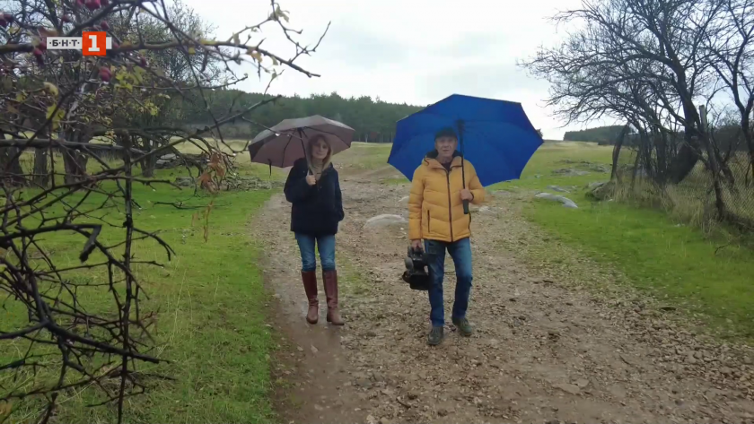 Три истории, в които селото заменя града