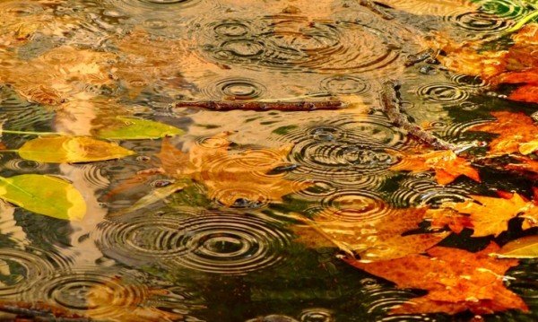 Проливни валежи и силен вятър и в следобедните часове