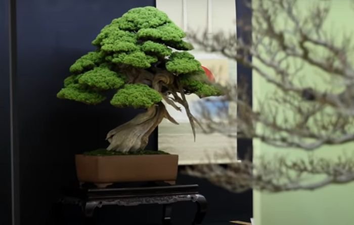 Уаби-саби и джапанди – философията на простотата у дома - 11.11.2025