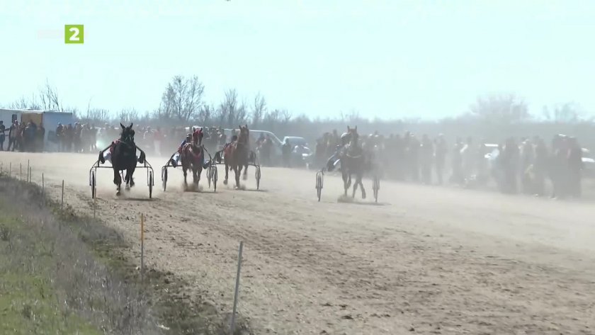 Среща с конете и с хората, които ги ценят