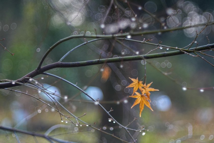 Дъждовно в почти цялата страна в четвъртък